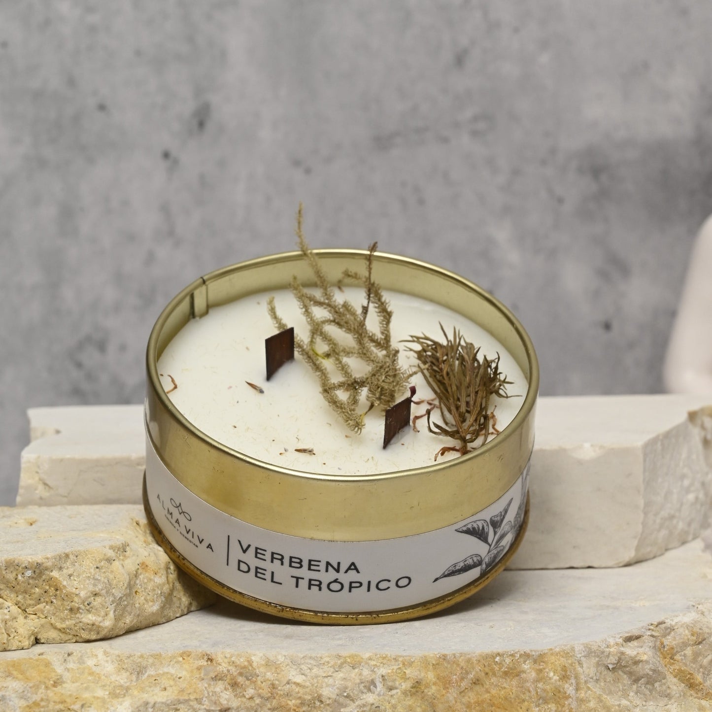 Vela Verbena del Tropíco